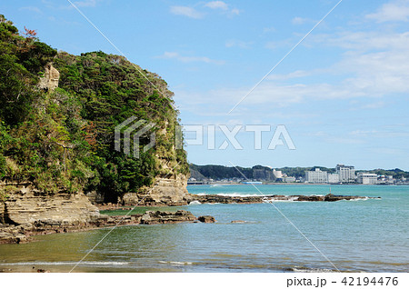 千葉県勝浦市　尾名浦　勝浦湾　 42194476