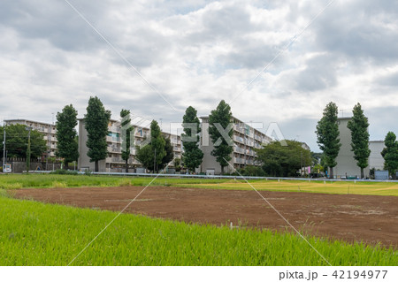 郊外　団地 42194977