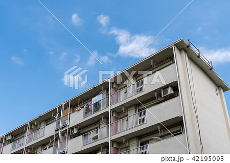 集合住宅 集合住宅 42195093