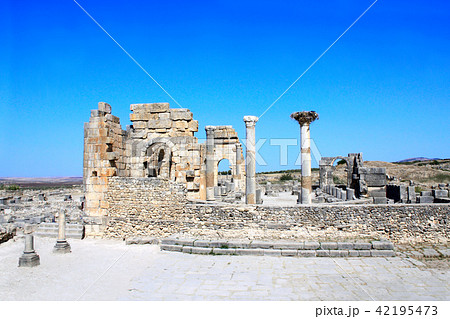 View of the Basilica in Volubilis, Morocco 42195473