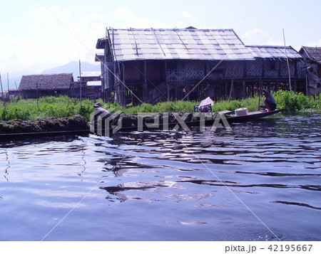 湖で働く人たち（インレー湖／ミャンマー） 42195667