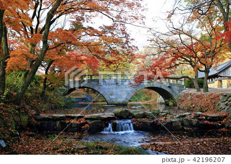 秋 紅葉 季節 42196207