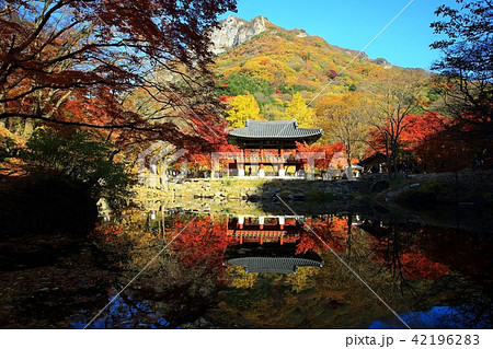 紅葉 風景 白羊寺 42196283