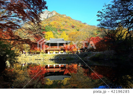 紅葉 風景 白羊寺 42196285