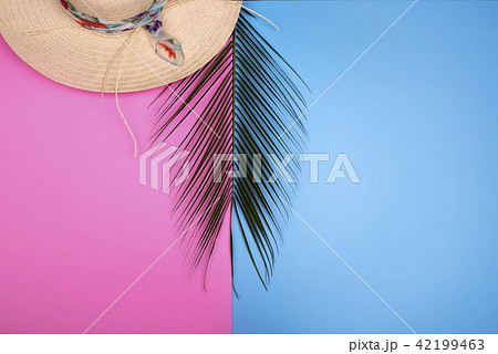 Colorful summer female fashion with Palm branches 42199463