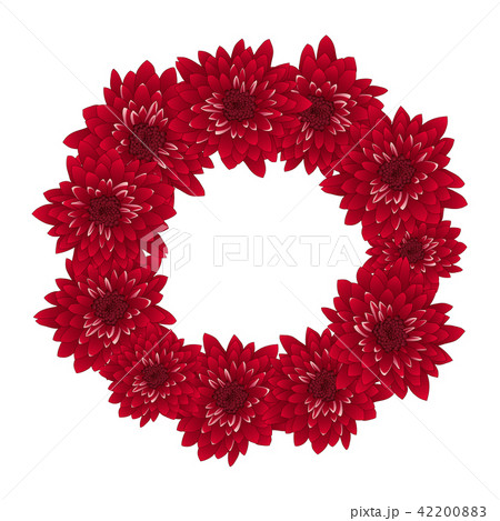 Red Chrysanthemum Wreath Red Chrysanthemum Wreath 42200883