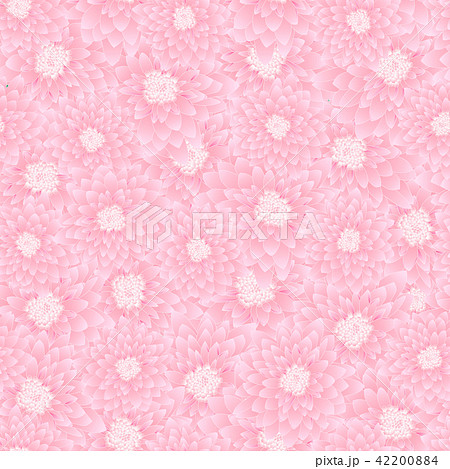 Pink Chrysanthemum Seamless Background Pink Chrysanthemum Seamless Background 42200884