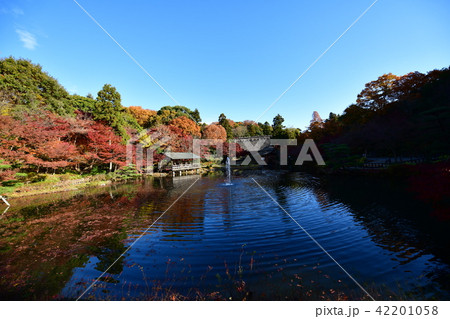 紅葉イメージ 42201058