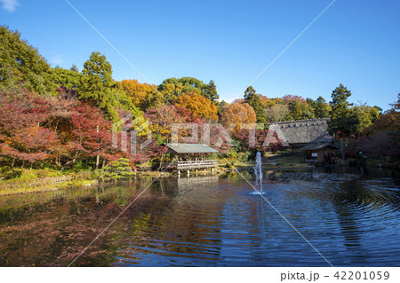 紅葉イメージ 42201059