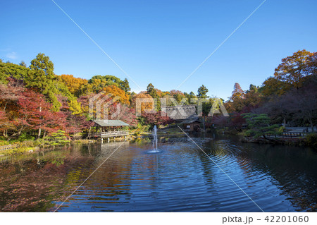紅葉イメージ 紅葉イメージ 42201060