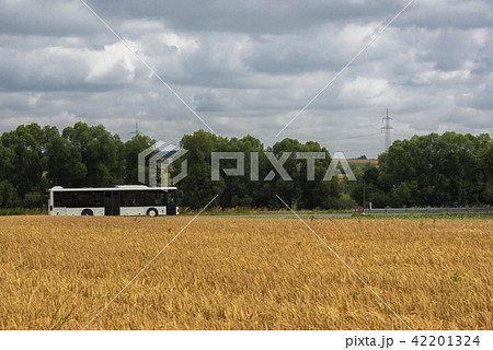 Bus driving near wheat fields 42201324