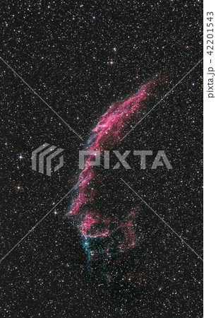 NGC6992-5 白鳥座 網状星雲 Cygnus Loop Veil Nebula 42201543