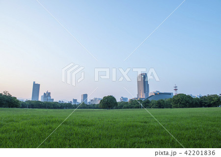 広島市中央公園からの町並み 42201836