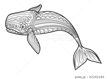 Vector Whale For Adult Anti Stress Coloring Pages のイラスト素材