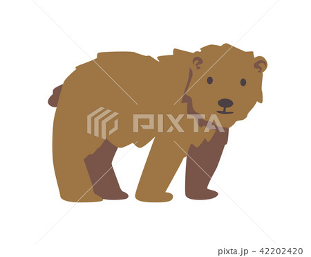 Cute brown bear. Flat vector illustration. Isolated on white background 42202420