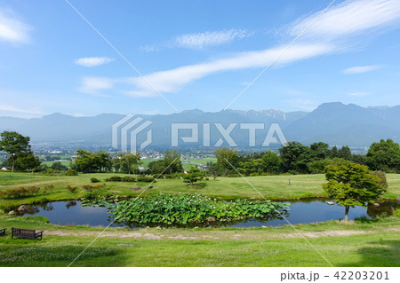 ハスの池 北アルプスバック あづみ野池田クラフトパーク ハスの池 北アルプスバック あづみ野池田クラフトパーク 42203201