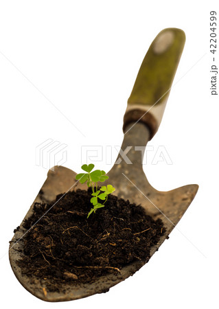 Garden hand trowel Garden hand trowel 42204599