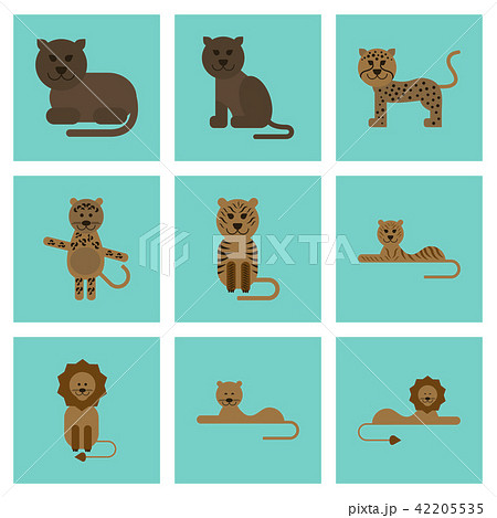 flat icons nature cartoon tiger lioness panther flat icons nature cartoon tiger lioness panther 42205535