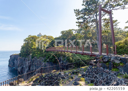 城ヶ崎海岸 門脇吊り橋 城ヶ崎海岸 門脇吊り橋 42205559