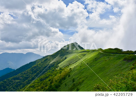 UFOライン in 高知県 UFOライン in 高知県 42205729
