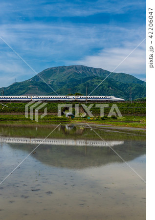 伊吹山と新幹線 42206047