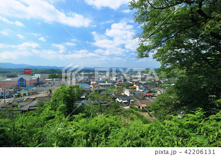 小高い場所から見る「さつま町の町並み」 42206131