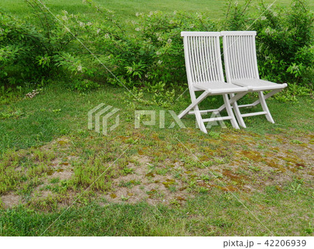 緑溢れる庭に置いた真っ白な椅子 42206939