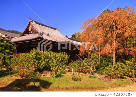 法金剛院（京都市　右京区） 庭園の紅葉 42207507
