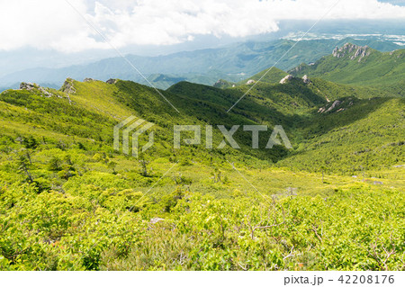 金峰山から見る稜線の向こうの瑞牆山 42208176