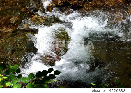 貴船の清流(京都) 貴船の清流(京都) 42208384