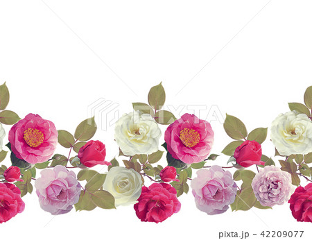Roses border watercolor 42209077
