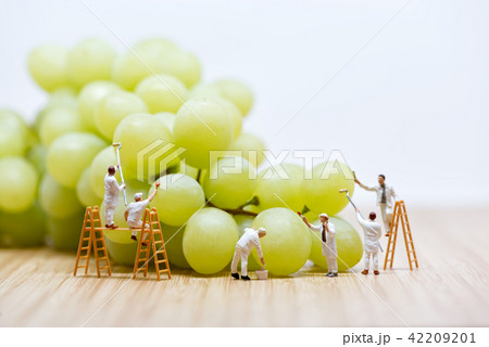 Group of miniature people washing bunch grape Group of miniature people washing bunch grape 42209201