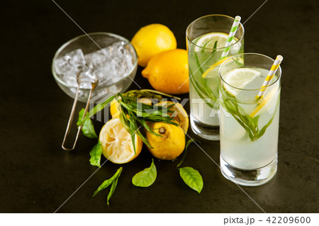Tarragon lemonade drink 42209600