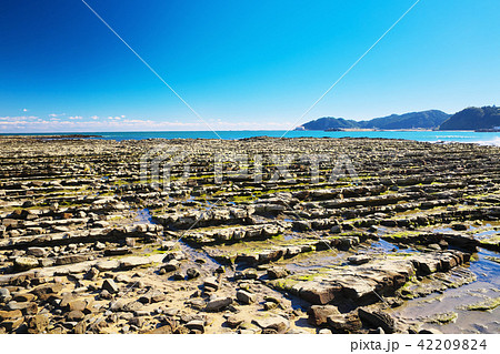 青島 鬼の洗濯板 青島 鬼の洗濯板 42209824