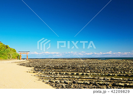 青島　鬼の洗濯岩　鳥居 42209829