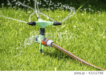 Sprinkler of automatic watering system working in the hot summer Sprinkler of automatic watering system working in the hot summer 42212786