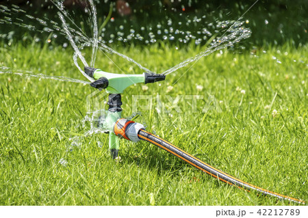Sprinkler of automatic watering system working in the hot summer Sprinkler of automatic watering system working in the hot summer 42212789