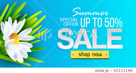 Summer sale banner with chamomile 42213196