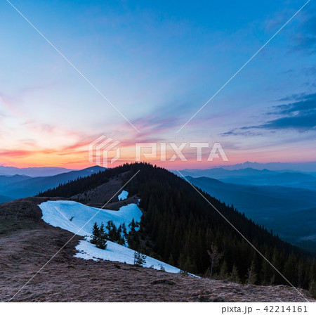 Sunset spring Carpathian mountains 42214161