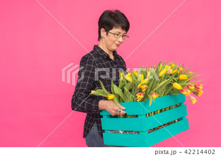 Middle-aged woman florist with wooden box of tulips on pink background Middle-aged woman florist with wooden box of tulips on pink background 42214402