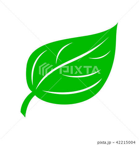 Green leaf icon, simple style 42215004