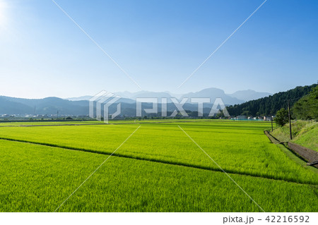 田園風景 42216592