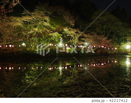 茂原桜まつり 茂原桜まつり 42217412