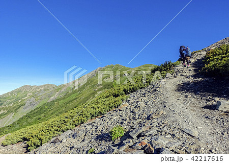 悪沢岳登山道 42217616