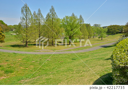 見沼田圃:大宮第二公園 見沼田圃:大宮第二公園 42217735