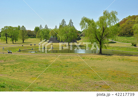 見沼田圃:大宮第二公園 見沼田圃:大宮第二公園 42217739