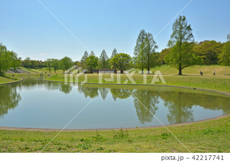 見沼田圃：大宮第二公園 42217741
