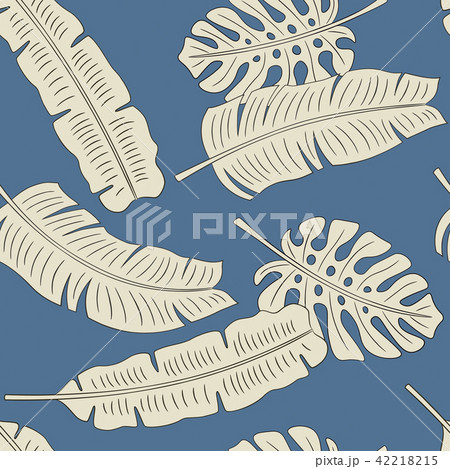 夏 熱帯 植物のイラスト素材