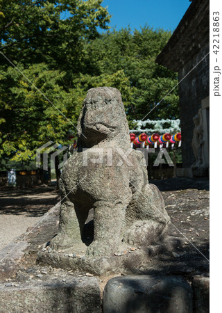 節 芬皇寺 レース 42218863