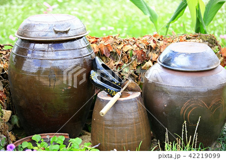 コスモス そば ガーデン 42219099